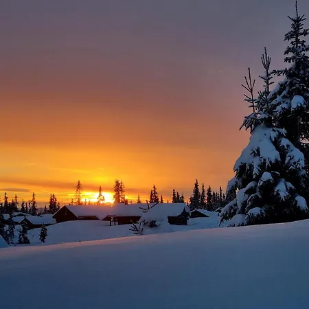 Lovely In With Kitchen Σπίτι διακοπών Λιλεχάμερ