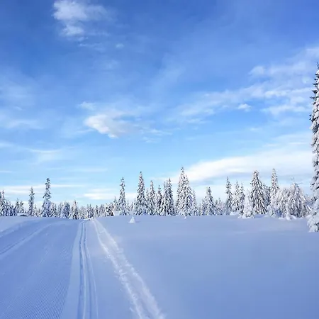 Lovely In With Kitchen *