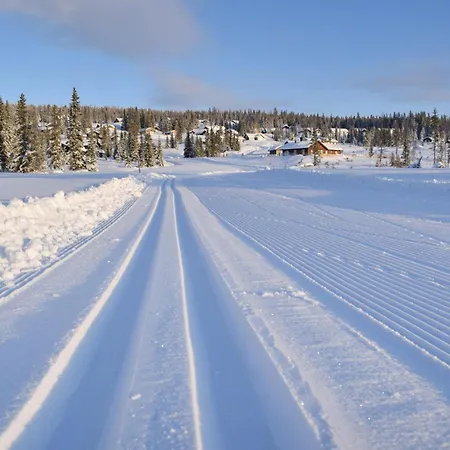 Lovely In With Kitchen *