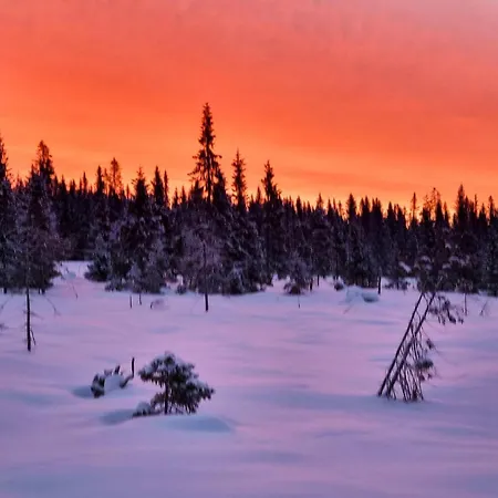 Lovely In With Kitchen Lillehammer