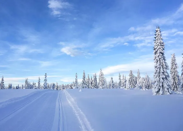 Lovely In With Kitchen *