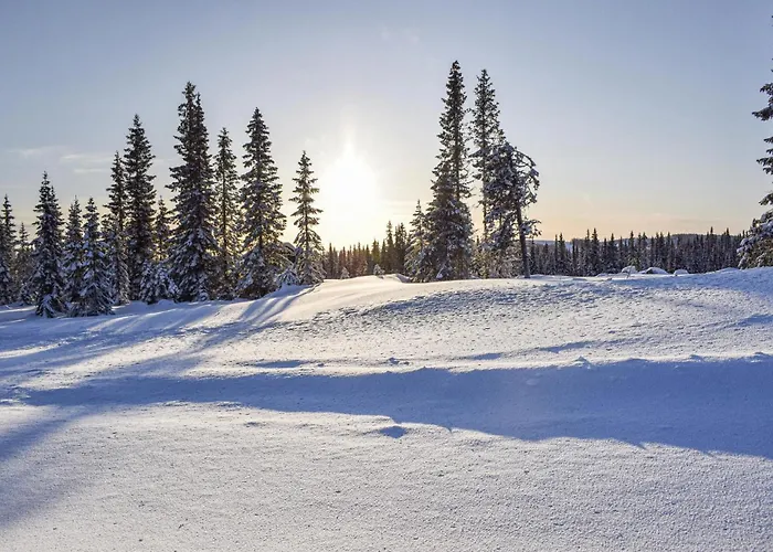 Dom wakacyjny Lovely In With Kitchen *