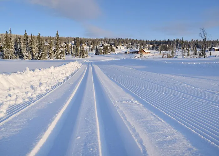 Lovely In With Kitchen *