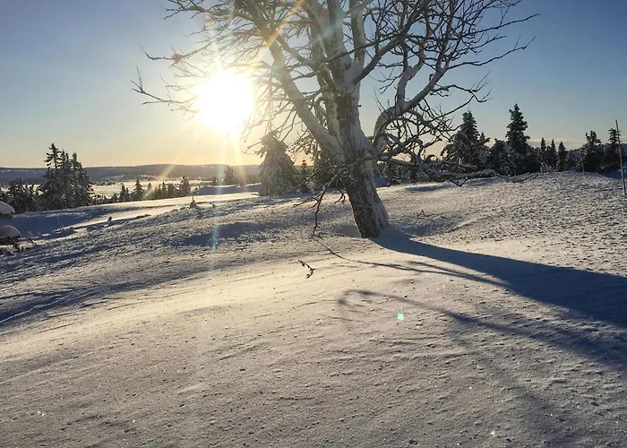 Lovely In With Kitchen Lillehammer