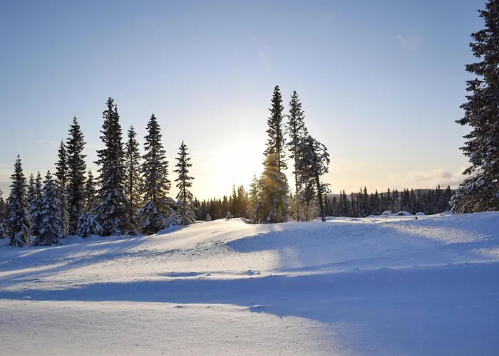 Lovely In With Kitchen * Lillehammer